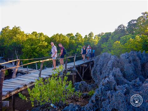 Diani Dhow Safari (Diani Beach) - All You Need to Know BEFORE You Go