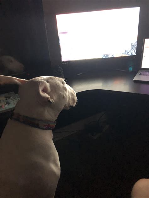 Rezultat imagine pentru Paired Programming Video