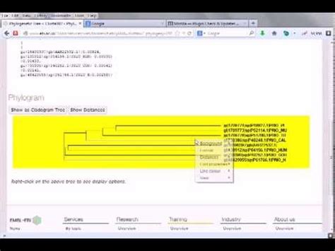 Phylogenetic tree construction Video Lecture - Crash Course for CSIR ...