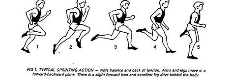 Image result for How to Add Sprinting in Unity