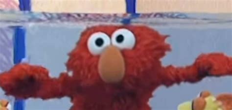 Elmo World Water Swim 的图像结果