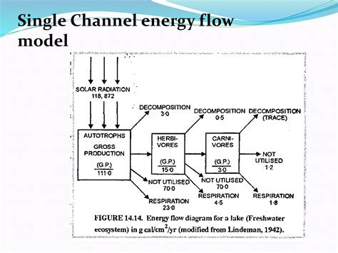 Science Food Chain 的图像结果