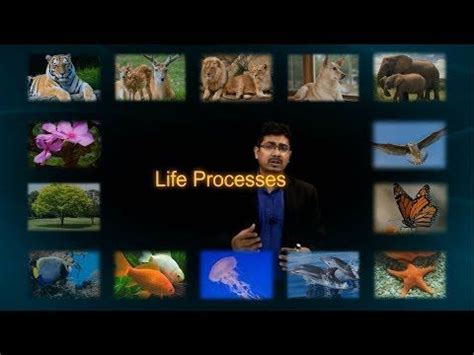 Dronstudy.com Class 10 的图像结果