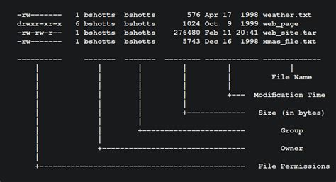 Tree command in Linux | Hacking Truth