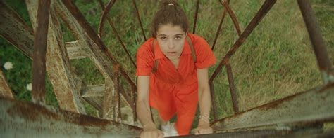 The Land of Sasha - trigon-film