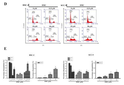 Cancers | Special Issue : Head and Neck Cancers