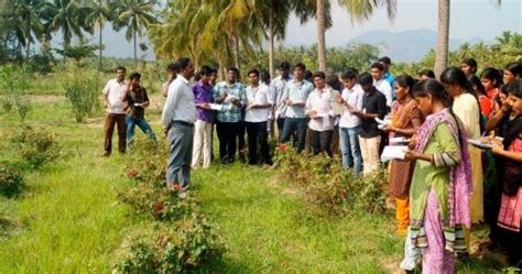 Kumaraguru Institute of Agriculture Hostel Fees: Rooms, Food & Rules, Erode