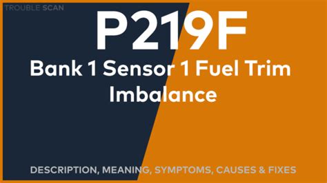 Image result for P249f Code