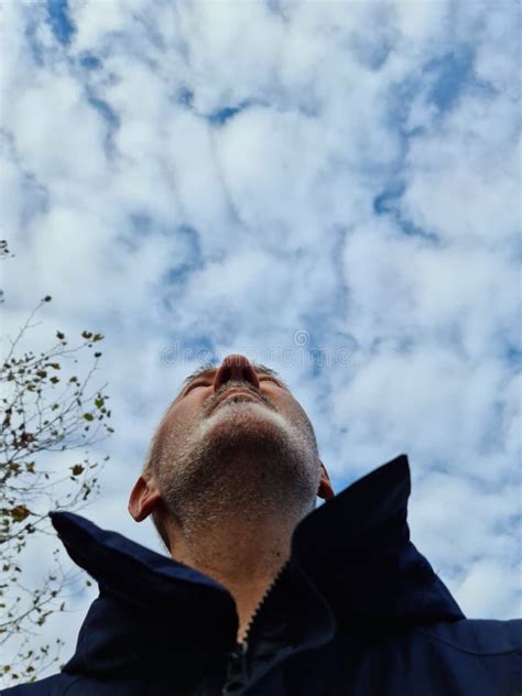 Looking to the Future 的图像结果