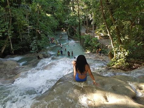 ADP TOURS JAMAICA (2026) All You Need to Know BEFORE You Go (with ...