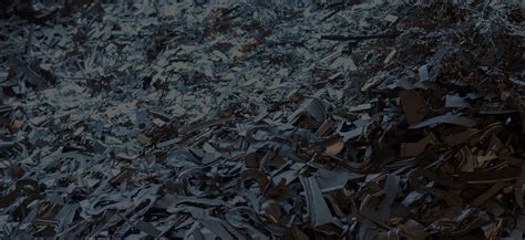 Welcome to MC Queen Metals and Investments Limited