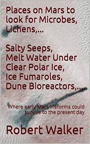 Places on Mars to look for Microbes, Lichens,... Salty Seeps, Melt ...
