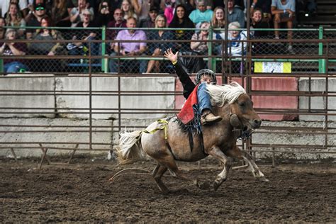 Wojo's Rodeo draws hundreds to Beltrami County Fair - The Bemidji ...