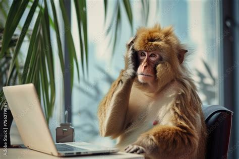 Image result for Monkey Freaking Out Computer