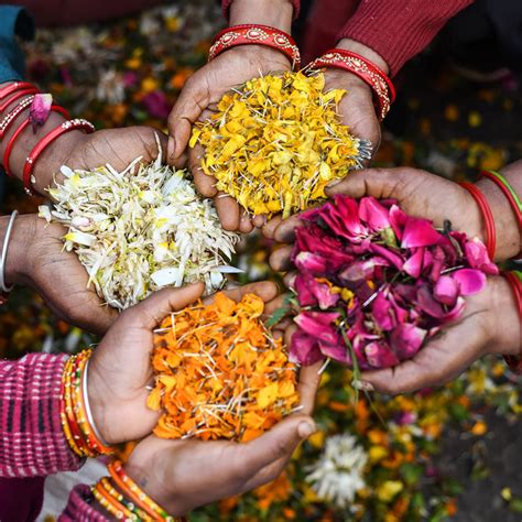 Temple Flowers – Sugandh Lok