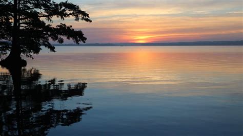 Home - Ronk Funeral Home