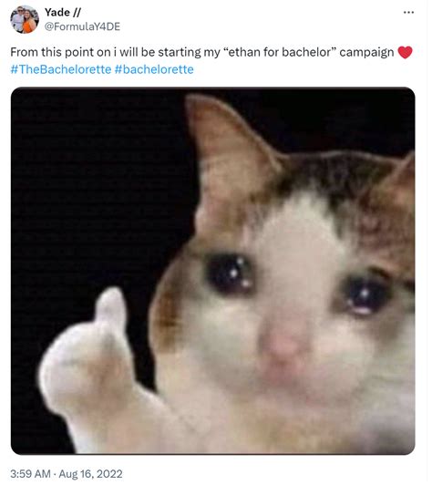 Crying Cat Thumbs Up Meme Origins, History, And Spread