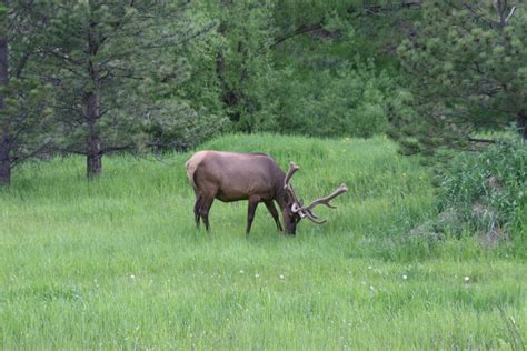 Home - Indian Hills Colorado