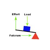 Image result for Class 2 Lever