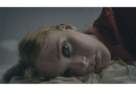 Lightroom Collection Set 的图像结果