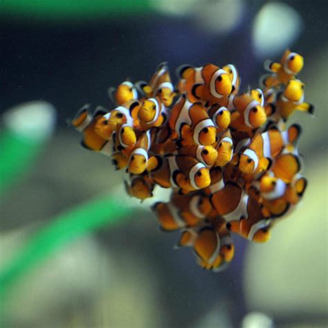 WEYMOUTH SEA LIFE ADVENTURE PARK (2025) All You Need to Know BEFORE You ...