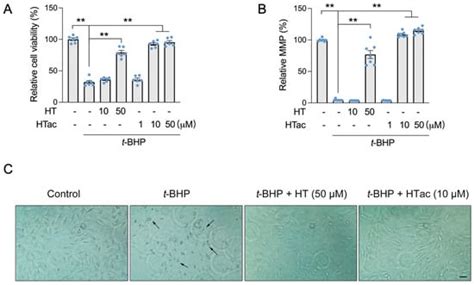 Comparative Study of Hydroxytyrosol Acetate and Hydroxytyrosol in ...