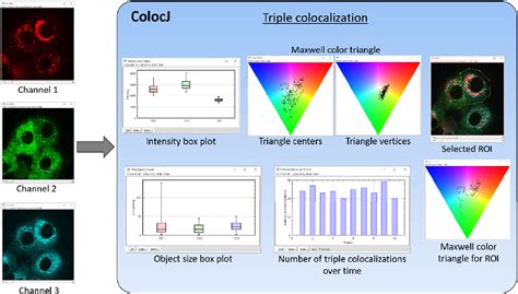 ImageJ Colocalization Analysis 的图像结果