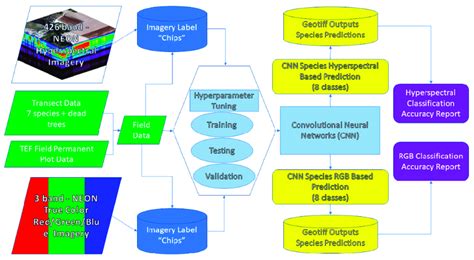 Data Processing System 的图像结果