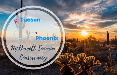 Car Rental Tucson to Phoenix ONE WAY - Compare Prices