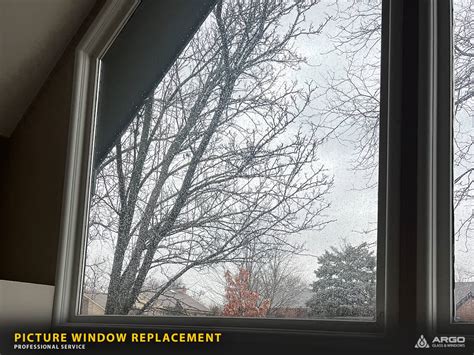 Image result for Window Repair and Replacement