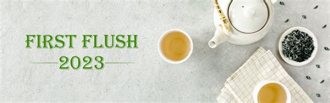 India's Finest Teas - Procured straight from own Tea Gardens
