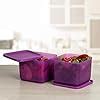 Buy Tupperware Plastic Container Cubix- 2 Pieces, Purple, Blue Online ...