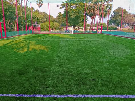 Leading importer and manufacturer of artificial turf in India approved ...
