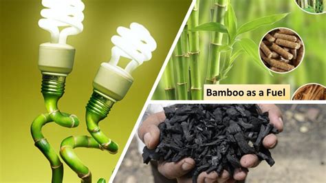 Electricity Power Generation 的图像结果