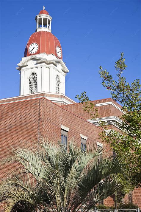 Local Government 的图像结果