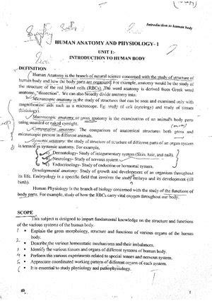 SAR OF Cholinolytics - Medicinal chemistry - CHOLINERGIC BLOCKING ...