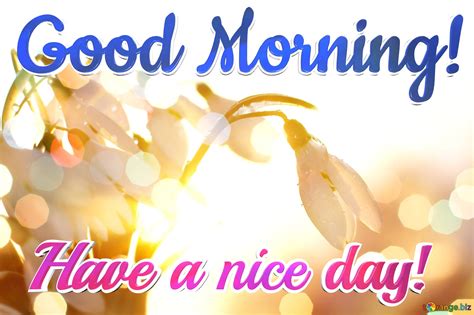 Have A Nice Day Images