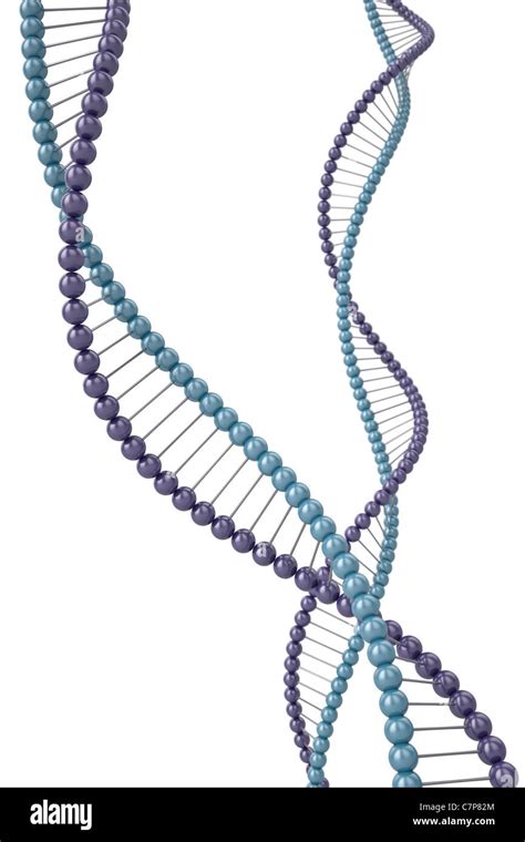 Image result for DNA and Computer Code