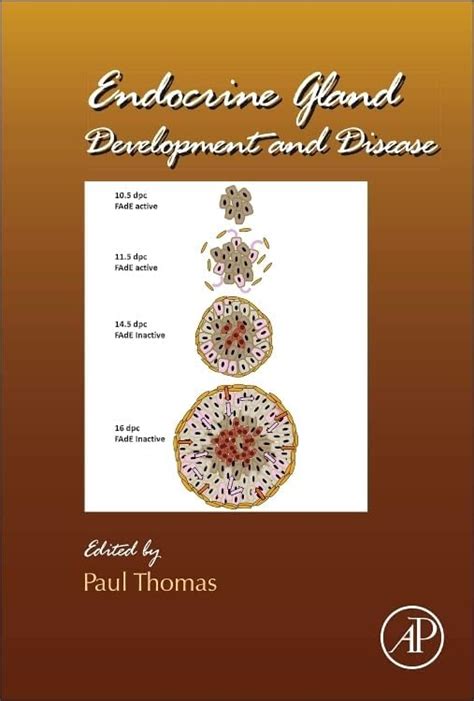 Buy Endocrine Gland Development and Disease Book Online at Low Prices ...