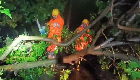 Cyclone Remal Live Updates : चक्रवात रेमल ने पश्चिम बंगाल के कई हिस्सों ...