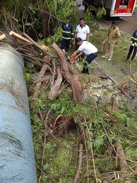 Navi Mumbai Records Year’s Highest Rainfall; Schools Shut Amid IMD Red ...