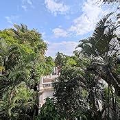 Mi 11 Ultra 5G (Ceramic Black, 12GB RAM, 256GB Storage) | Snapdragon ...