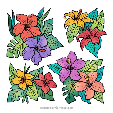 Cartoon hawaiian flowers Images - Free Download on Freepik