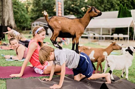 Upcoming Goat Yoga — 901Goats from Walkapony Goat Ranch