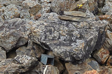 PIKA-boo! | Nature inFocus