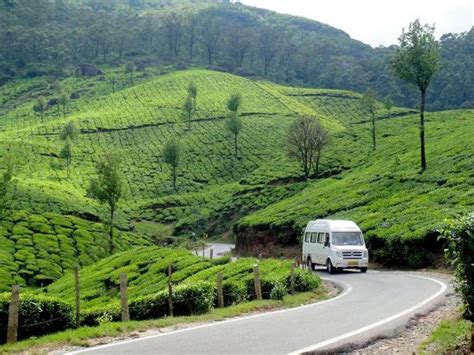 mesmerizing view - Reviews, Photos - Lock Heart Gap - Tripadvisor