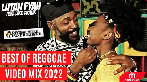 Scrapy Reggae.com 的图像结果