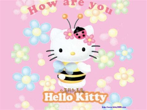 Hello Kitty - Hello Kitty Wallpaper (182165) - Fanpop