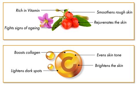 Good Vibes Vitamin C & Goji Berry Depigmentation & Wrinkle Balancing ...