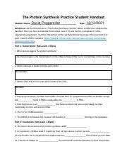 Image result for Protein Synthesis Practice